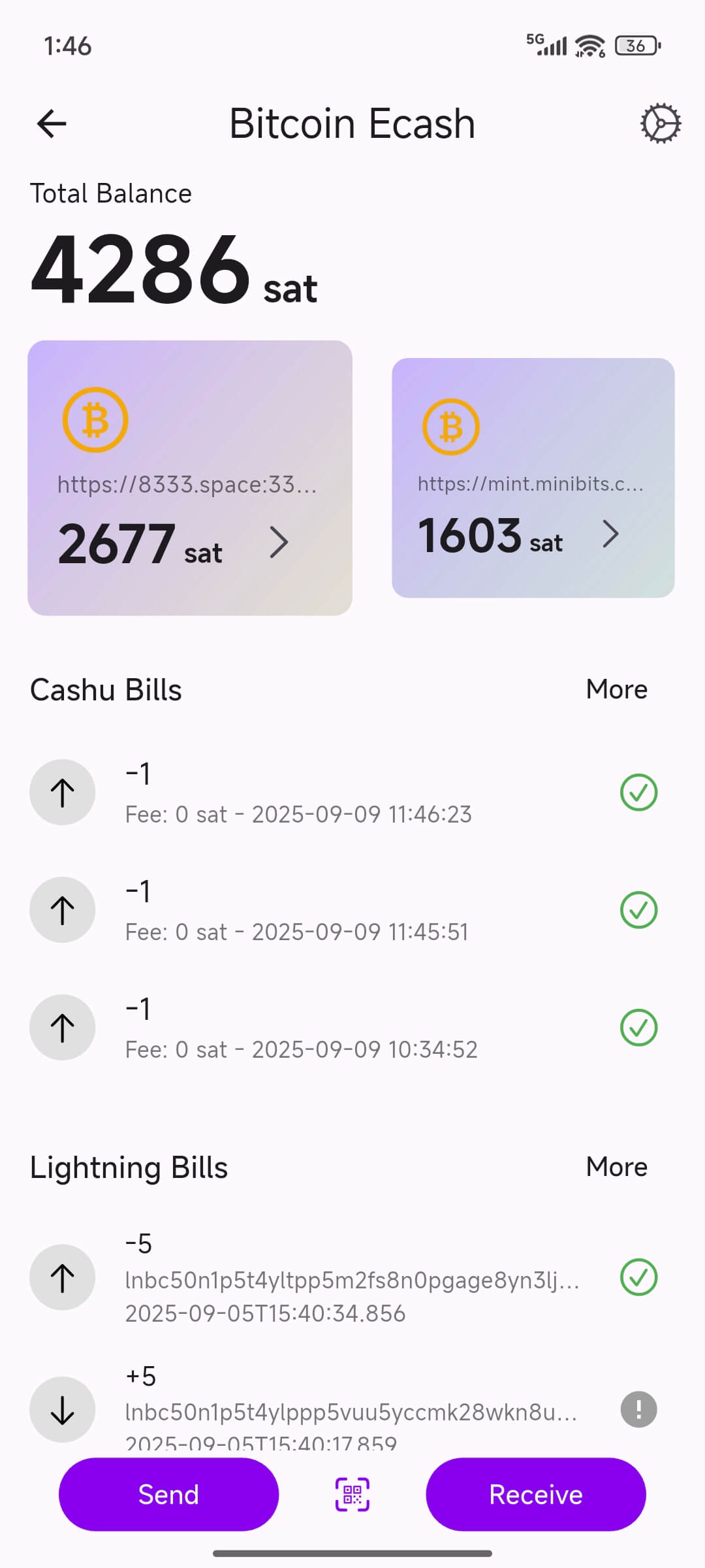 Ecash Wallet